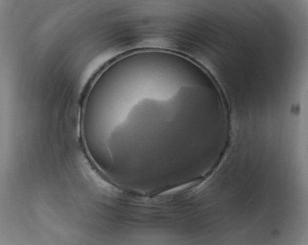 X0000110991123200906191421