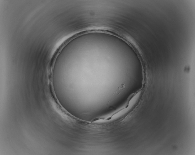 X0000110991124200906191421