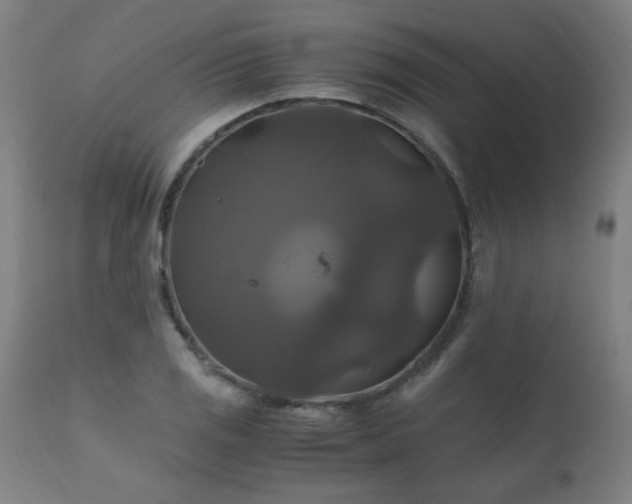 X0000110991125200906191421