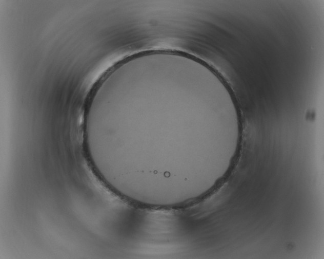 X0000110991126200906191421