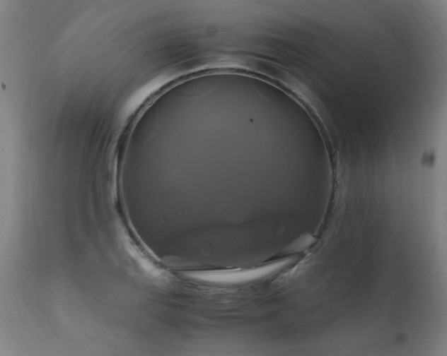 X0000110991127200906191421