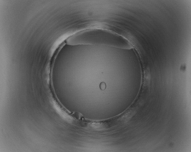 X0000110991128200906191421