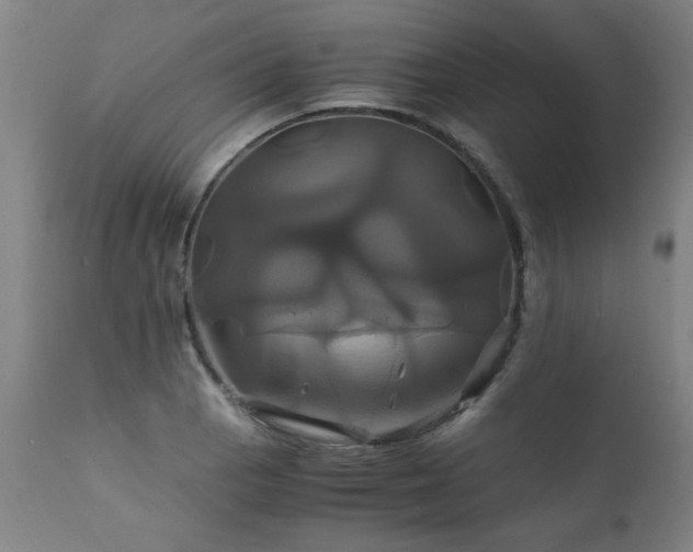 X0000110991129200906191421
