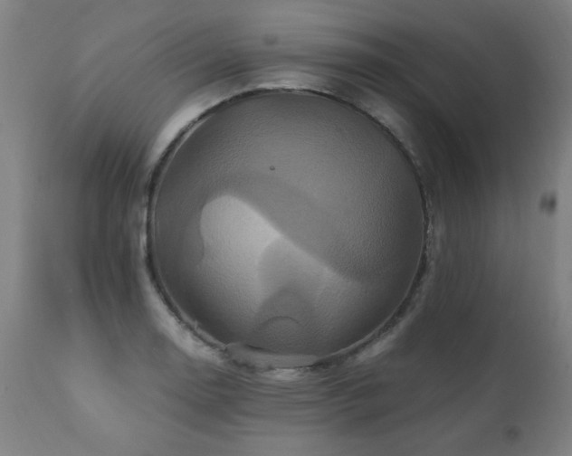 X0000110991130200906191421