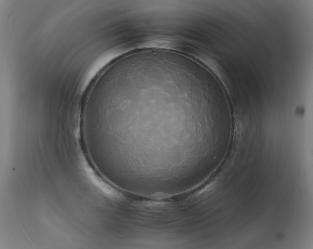 X0000110991131200906191421