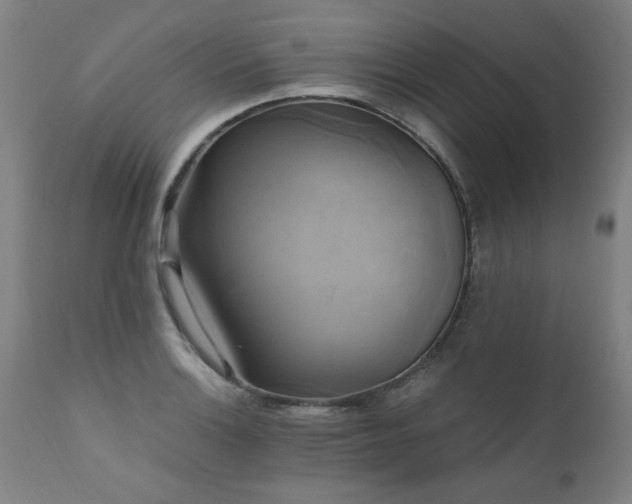 X0000110991132200906191421