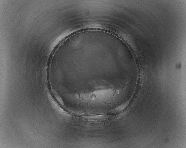 X0000110991133200906191421