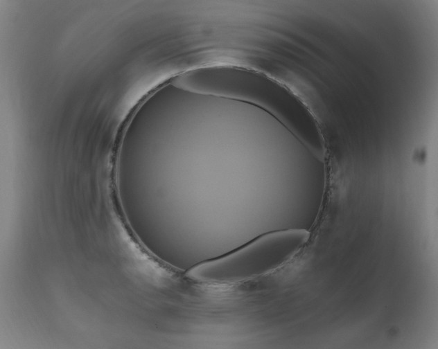 X0000110991134200906191421