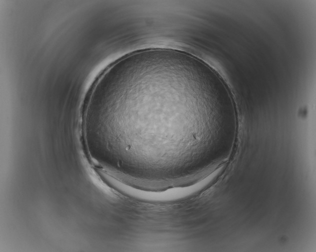 X0000110991136200906191421