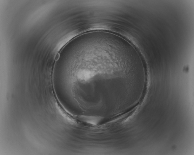 X0000110991137200906191421