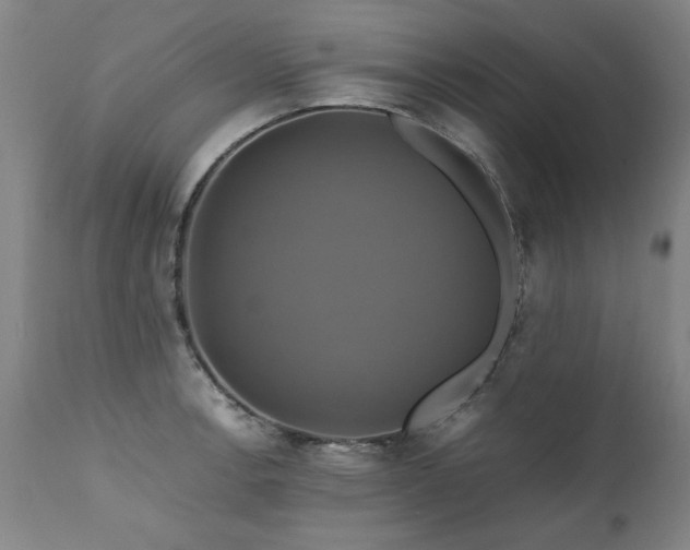 X0000110991138200906191421