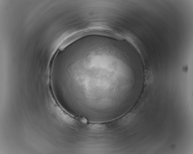 X0000110991140200906191421