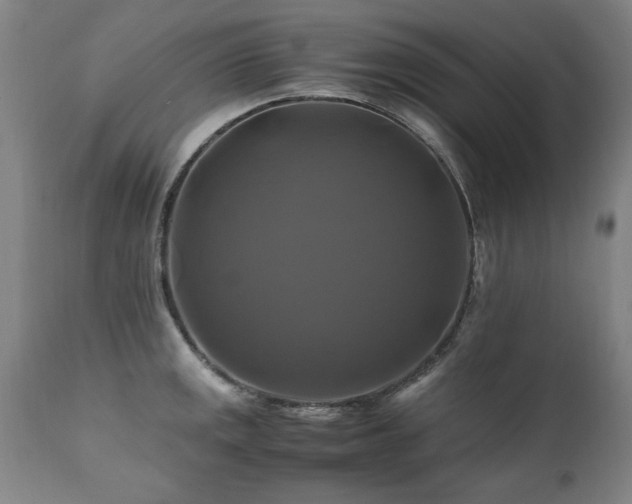 X0000110991141200906191421