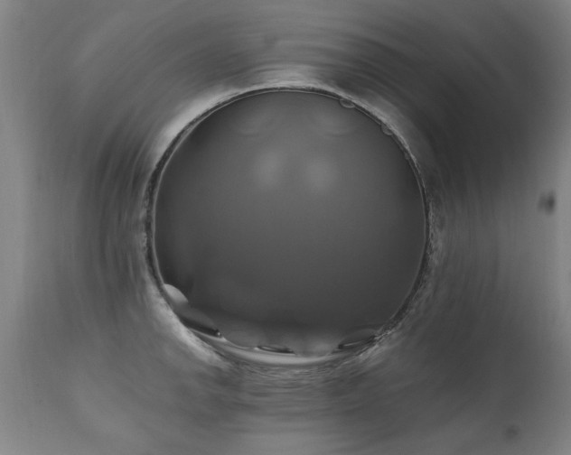 X0000110991142200906191421