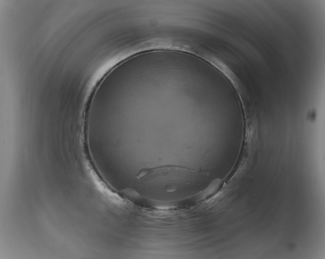 X0000110991144200906191421