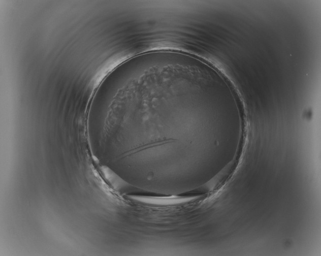 X0000110991145200906191421