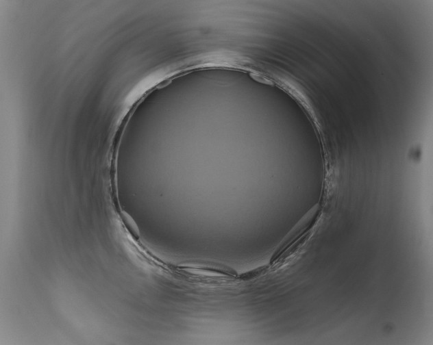 X0000110991146200906191421