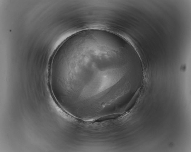 X0000110991147200906191421
