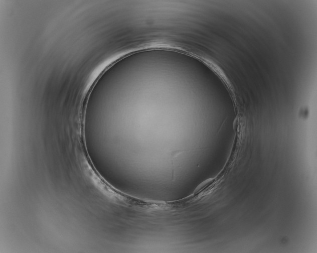 X0000110991148200906191421