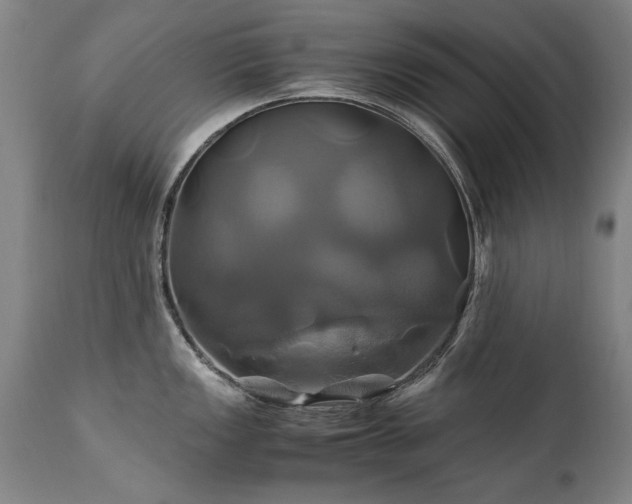 X0000110991149200906191421