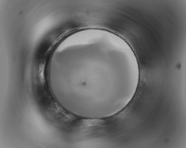 X0000110991150200906191421