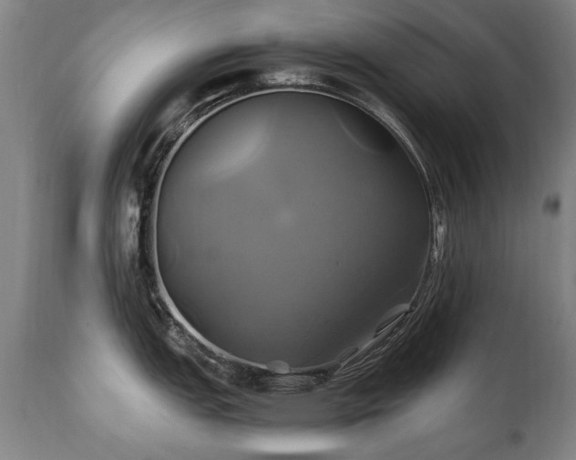 X0000110991151200906191421