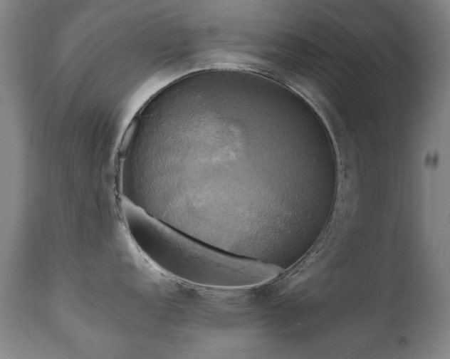 X0000110991152200906191421