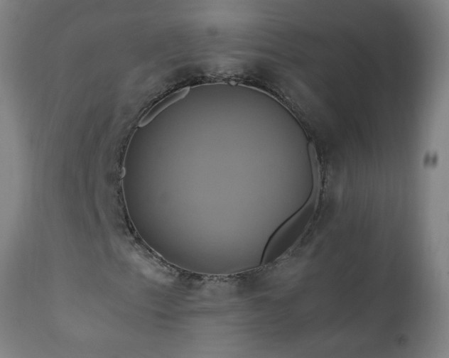 X0000110991153200906191421