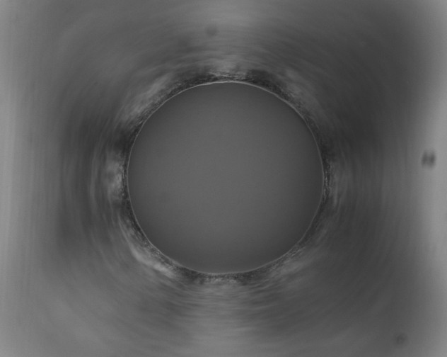 X0000110991154200906191421