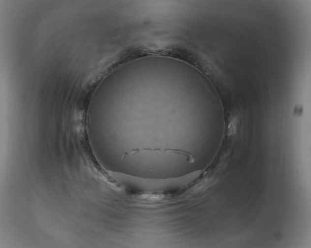 X0000110991156200906191420