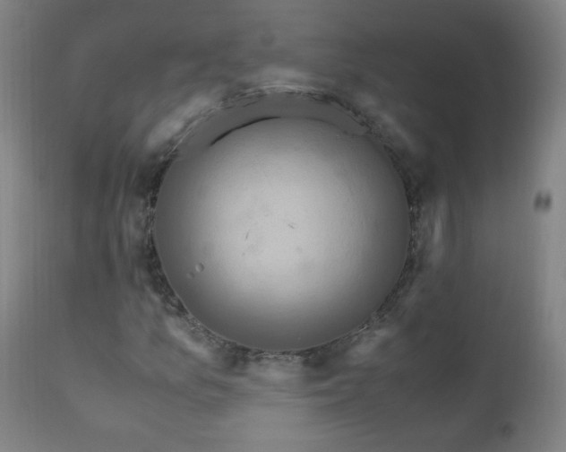 X0000110991157200906191420