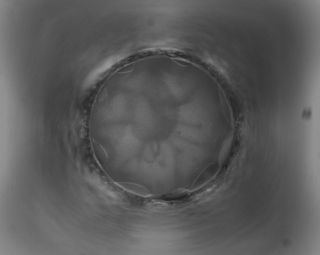 X0000110991159200906191420