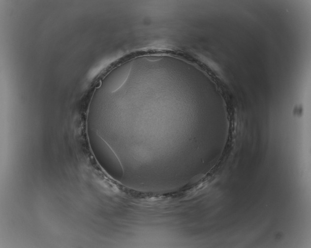 X0000110991160200906191420