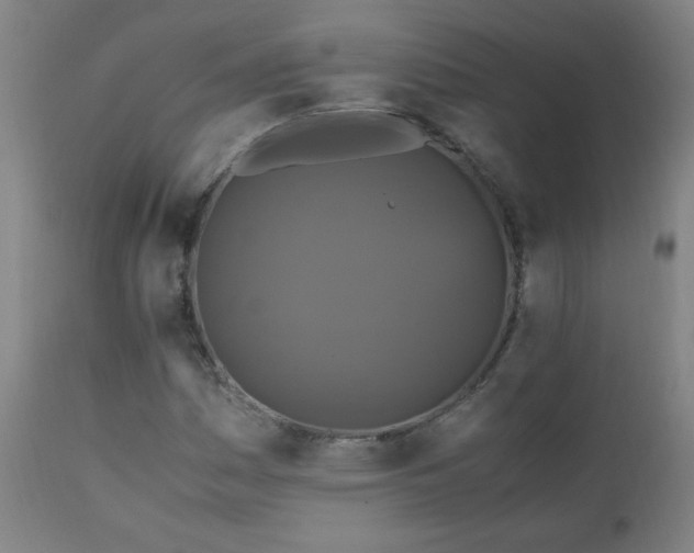X0000110991161200906191420