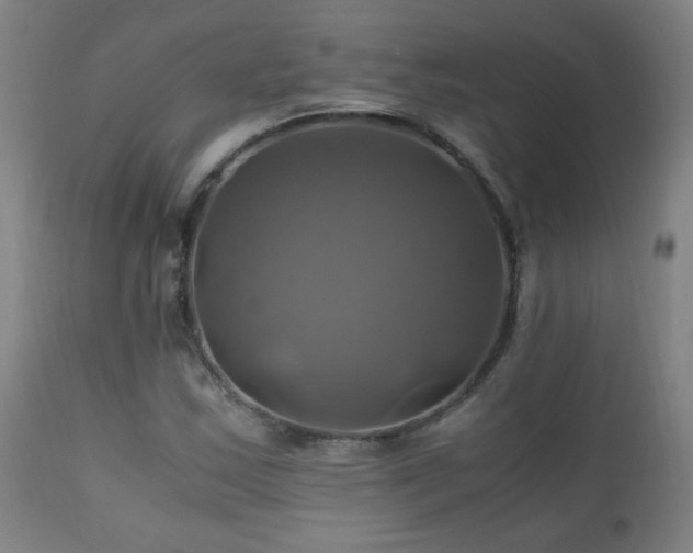 X0000110991163200906191420