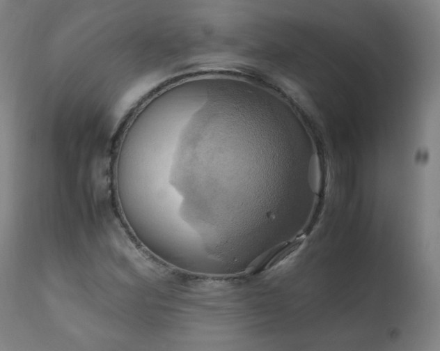 X0000110991164200906191420
