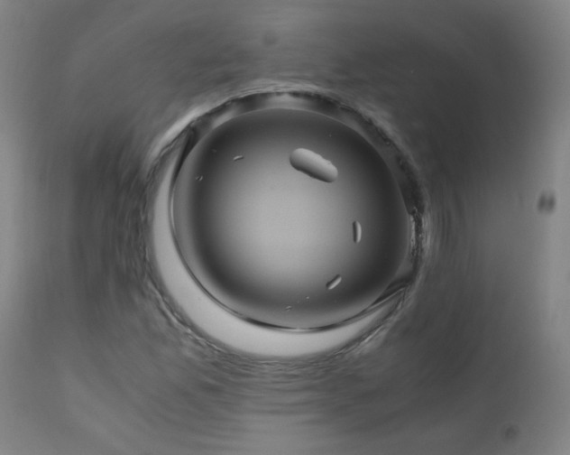 X0000110991165200906191420