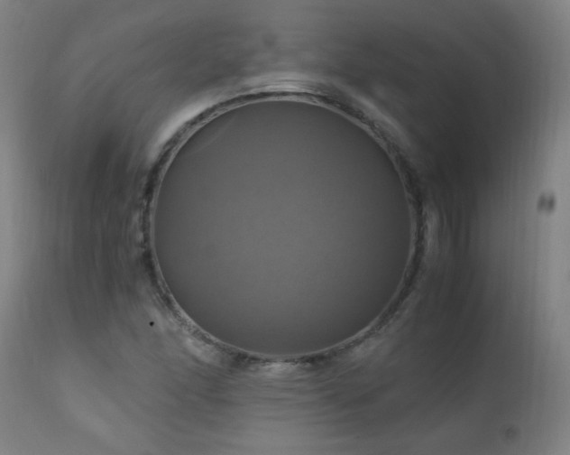 X0000110991166200906191420
