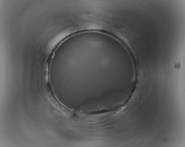 X0000110991171200906191420