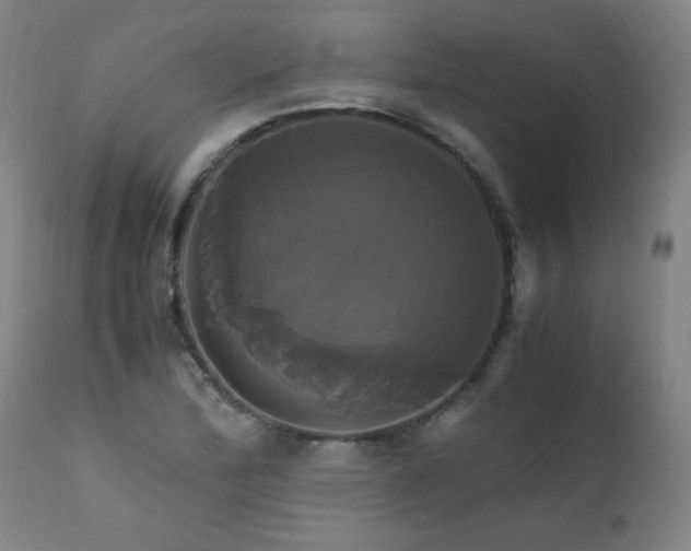 X0000110991172200906191420