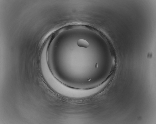 X0000110991173200906191420