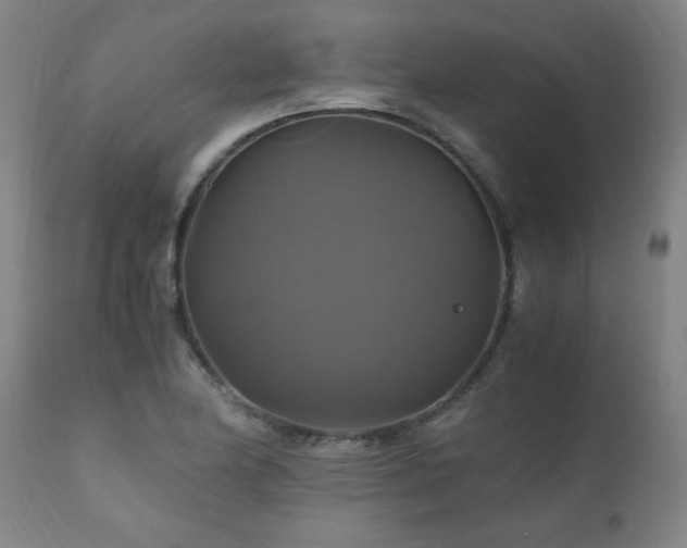 X0000110991174200906191420