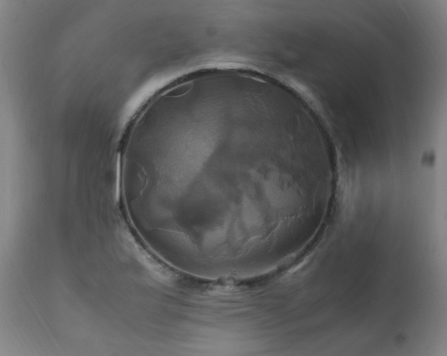 X0000110991175200906191420