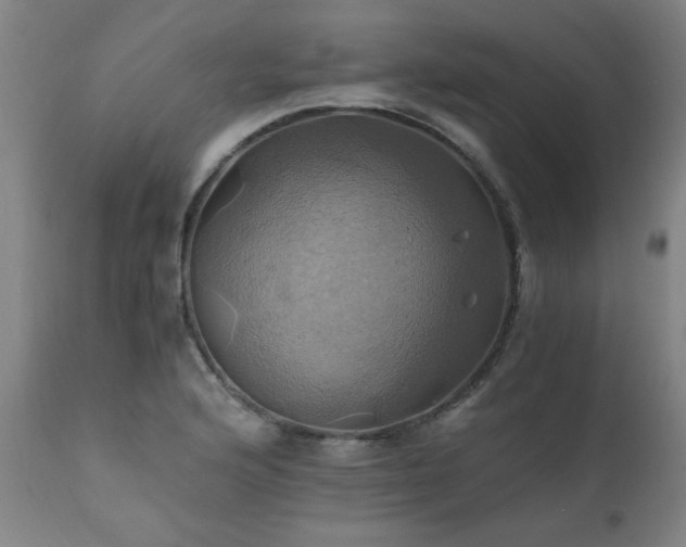 X0000110991176200906191420