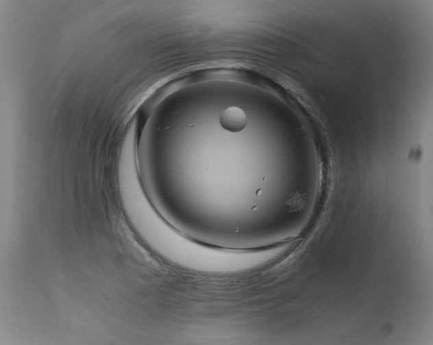 X0000110991177200906191420