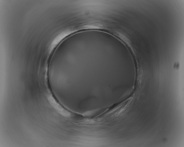 X0000110991179200906191420