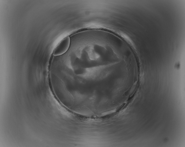 X0000110991183200906191420