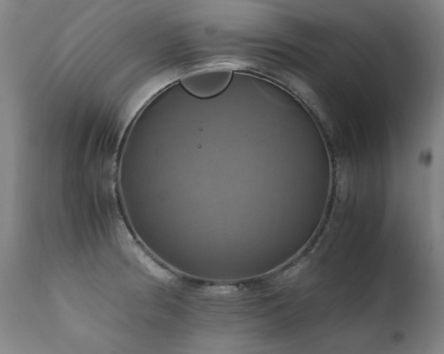 X0000110991186200906191420