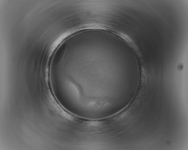 X0000110991188200906191420