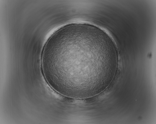 X0000110991191200906191420